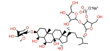 Kurilensoside A